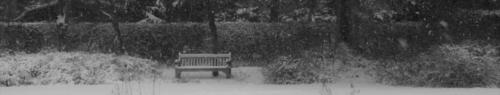 cropped-IMG_3420-3-scaled-1.jpg